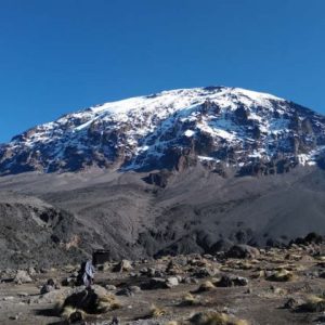 8 Days Kilimanjaro - Lemosho Route