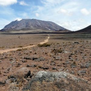 5 Days Kilimanjaro - Marangu Route