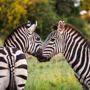 Arusha National Park activities