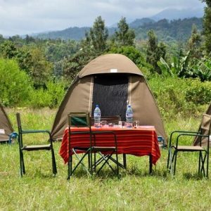 5 days Tanzania camping safari