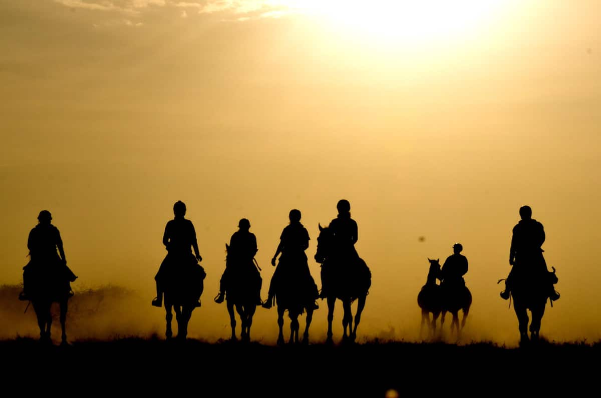 horse riding Safari